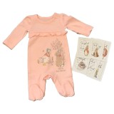 Jemima Puddle Duck and Flopsy Sleepsuit plus 6 Memory Cards