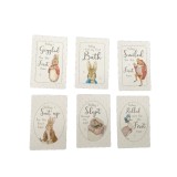 Jemima Puddle Duck and Flopsy Sleepsuit plus 6 Memory Cards