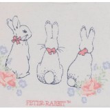 Peter Rabbit Tutu Bodysuit and Headband
