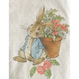 Peter Rabbit with Plant Pot Sleepsuit