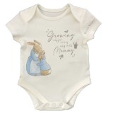Peter Rabbit 4 piece Set