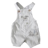 Peter Rabbit Top And Short Dungarees