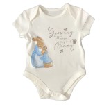 Peter Rabbit 3 Piece Set Sleepsuit