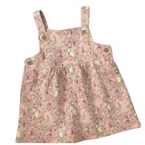 Peter Rabbit Baby Girls DressAnd Top Set