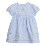 Peter Rabbit Soft Cotton Dress And Socks