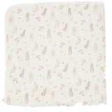Peter Rabbit Fluffy 2 Sided Baby Blanket