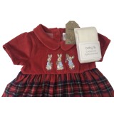 Peter Rabbit Red Dress and Tights