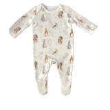 Peter Rabbit Sleepsuit 4 Piece Starter Set Baby
