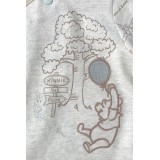 Winnie The Pooh Unisex Sleepsuit and Hat
