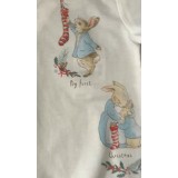 Peter Rabbit and Friends Unisex  My First Christmas Sleepsuit
