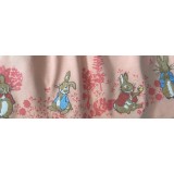 Peter Rabbit Beatrix Potter Character Dress And Socks