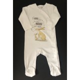 Guess How Much I Love you 5 Piece Set -FREE Book