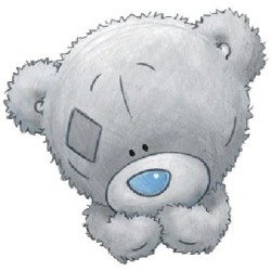 Tiny Tatty Ted